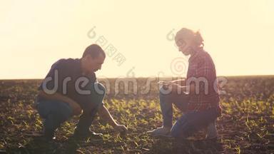 智能<strong>生态农业</strong>团队在<strong>农业</strong>中使用现代技术。 农民男女在泥地里工作