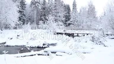 冬天的照片。 冬天的视频自然。 雪景雪中的树木。