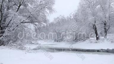 冬天的照片。 冬天的视频自然。 雪景雪中的树木。