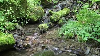 美丽的小溪和有绿色苔藓的石头
