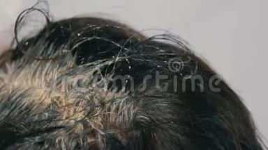 一个中年妇女的过度生长的灰色根，她用特殊的刷子给自己的头发涂上颜色。 深色头发，白色