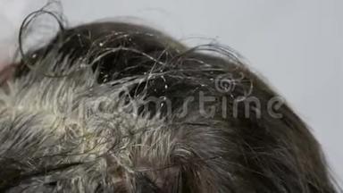 一个中年妇女的<strong>过度</strong>生长的灰色根，她用特殊的刷子给自己的头发涂上颜色。 深色头发，白色