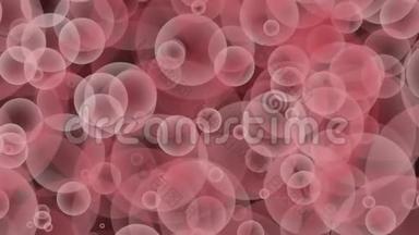 粉色红色勃艮第灰色无缝上升气泡漂浮和慢移动循环颗粒气泡动画黑色背景。