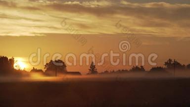 日出时雾在田野上流动