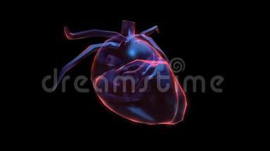 心脏三维动画平面设计。 阿尔法玻璃背景。 虚拟空间中的无缝环形运动