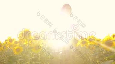 夏天，快乐的小女孩在田野上闻着一朵向日葵。 慢动作视频。 站着的少女