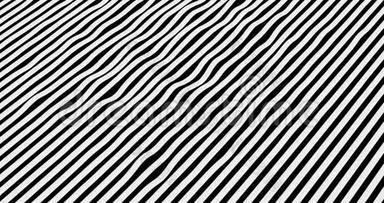抽象黑白斜条运动，背景流畅，斑马效果，无缝环