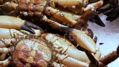 海鲜移动虾大<strong>龙虾和螃蟹</strong>在柜台市场，海鲜在市场拉利亚在巴塞罗那