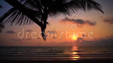 <strong>令人惊叹</strong>的日落在热带海滩上