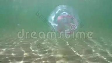水母在波罗的海游泳