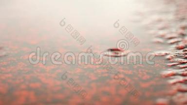在校园体育场的跑道上下雨。 地上的水。 镜面水位下跑道红色纹理