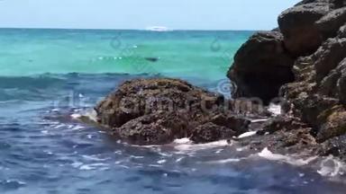海浪拍打海岸，移动藻类。 菲律宾。