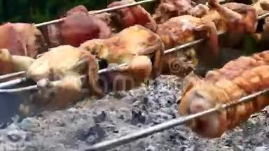 一排排鸡和猪圈，在烤架上做饭。 4K