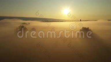 4在雾中飞越早晨的夏日草地，美丽的夏日景观，高品质