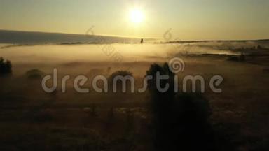 4在雾中飞越早晨的夏日草地，美丽的夏日景观，高品质