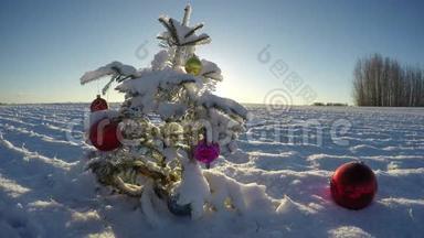 白雪皑皑的新年<strong>田野上</strong>的圣诞树，时间流逝4K