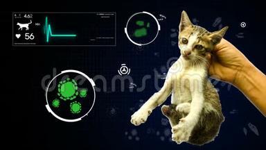 从动物和宠物猫地理背景为健康或生物学教育的细菌病原体分析动画。 一只手握着