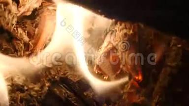 篝火中明亮燃烧的木头.. 在火中燃烧木头和煤