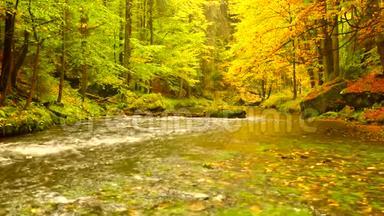 秋天的风景，树上五颜六色的叶子，雨夜后的早晨在<strong>河边</strong>。 五颜六色的叶子。 秋天的<strong>小</strong>溪。 森林河。