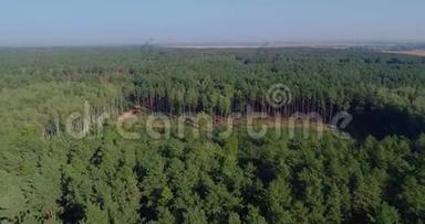 砍伐森林特种设备，从无人机上看。 森林收割机的工作.. 茂密松林的砍伐