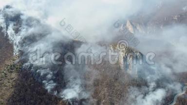一个空中和移动的镜头显示了树林的火焰，浓烟覆盖了整个地区