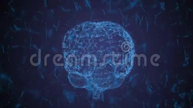 脑动画，数据挖掘，深入研究现代计算机技术.. 人类大脑模型包括许多