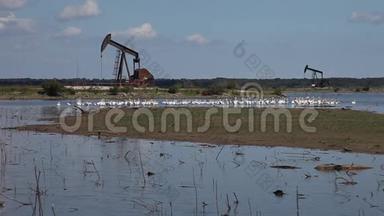 德克斯马湖上哈格曼野生<strong>动物保护</strong>区的石油井架。