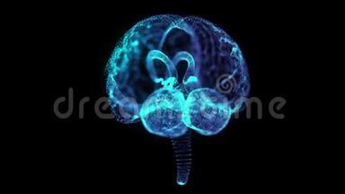 旋转人脑360度全息图。 发光蓝光粒子点的人脑模型。 无缝循环