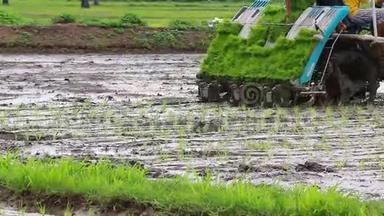 农民驾驶插秧车专用水稻