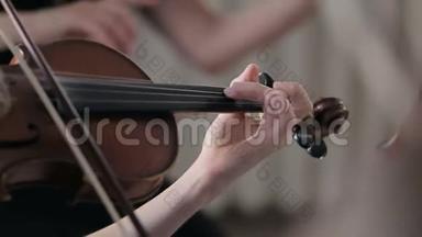 音乐家演奏小提琴经典音乐