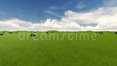 夏日欢乐背景。 农场动物。 夏日乡村风景。 小羊。