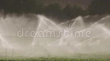日落时，许多<strong>撞击</strong>喷头缓慢地灌溉一片农田