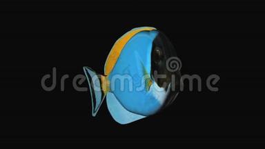 蓝塘鱼生产元素