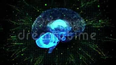 三维<strong>动画</strong>图形设计人脑和脑干显示和旋转与<strong>知识</strong>或MRI扫描的创造力模型