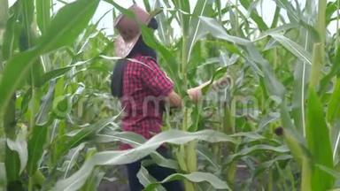 智慧生态是一种收获农业的耕作理念。 农民生活方式女孩植物研究员收割玉米芯