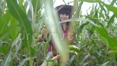 智慧生态是一种收获农业的耕作理念。 农民女孩植物研究员在农场收获玉米芯。 妇女