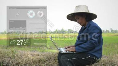 亚洲泰国农民在稻田中使用笔记本<strong>电脑</strong>，HUD向上显示<strong>界面</strong>图圆加载天气元素