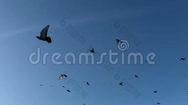 一群鸟飞过天空。