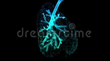 旋转360度人肺全息图。 发光蓝光粒子点人肺模型。 无缝循环