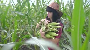 智慧生态收割农业<strong>耕作</strong>理念.. <strong>农民</strong>女孩植物研究员收割玉米芯的生活方式