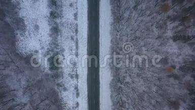 暴风雪中穿过冬季森林的道路上的交通鸟瞰图