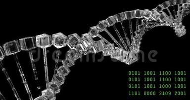 分析DNA结构，法医研究，基因遗传病，科学。 玻璃分子能够循环