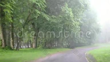 开着车在公园的道路上行驶，<strong>浓</strong>雾</strong>笼罩着树木和房子
