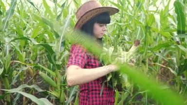 智慧生态收割农业<strong>耕作</strong>理念.. <strong>农民</strong>女孩植物研究员收获玉米生活方式的COBS上
