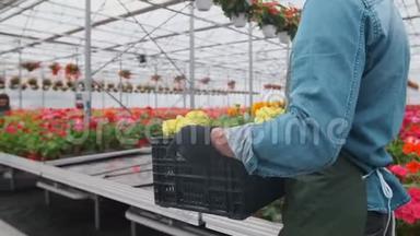 快乐的工业温室工人携带装满鲜花的盒子。 微笑和快乐的人与花他<strong>成长</strong>。