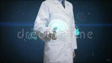 医生触摸数字屏幕，扫描脑，心脏，肺，内脏在数字显示仪表板。 X光透视。
