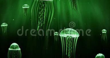 深海水母4k循环绿色泳姿
