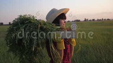 女孩红脖子农夫。 农业收获生态农业一个概念慢动作视频。 快乐的女孩在收割散步