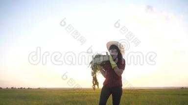 女孩红脖子农夫。 农业收获生态农业一个概念慢动作<strong>视频</strong>。 快乐的女孩在收割<strong>散步</strong>
