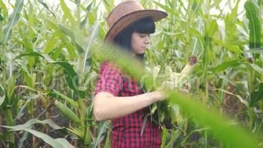 智慧生态收割农业耕作理念.. 农民女孩植物研究员收获生活方式玉米芯上
